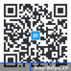 系统版 iOS 二维码
